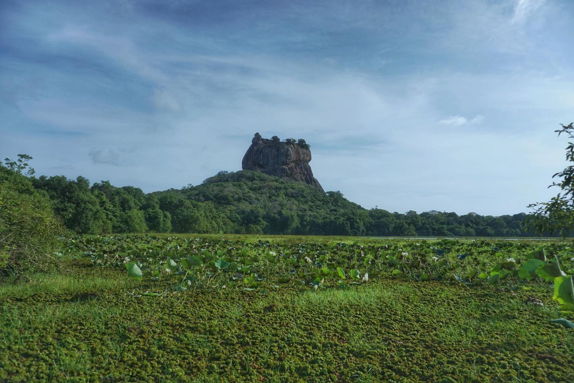 Sashini Homestay Sigiriya Exterior photo
