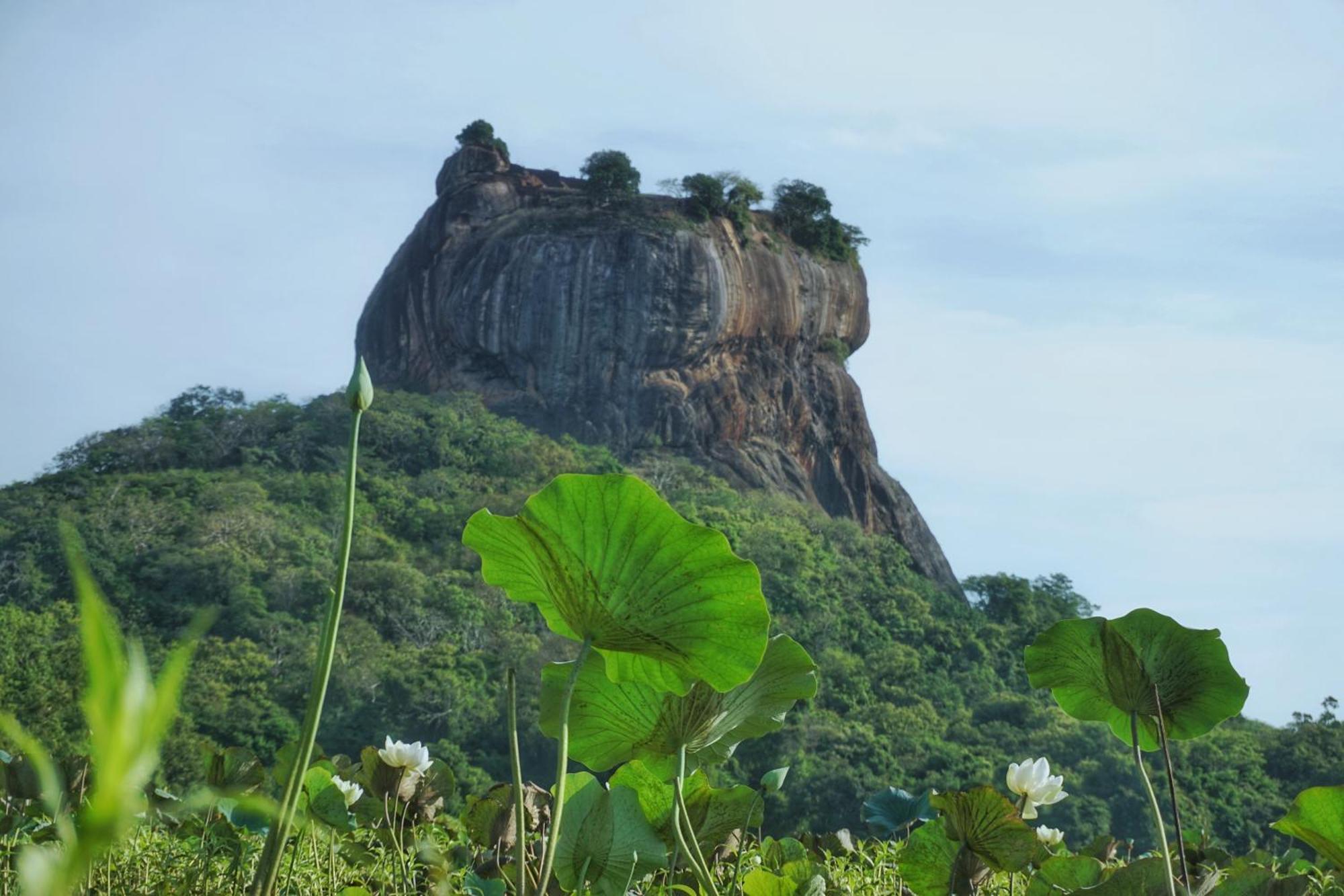 Sashini Homestay Sigiriya Exterior photo